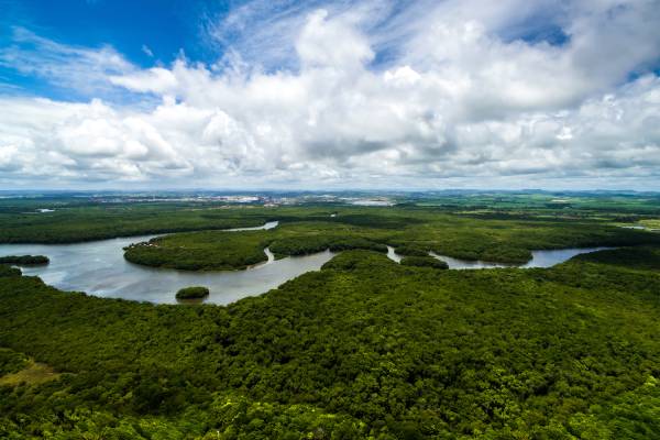 rios da amazonia