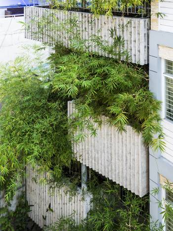 Casa Bambu / VTN Architects